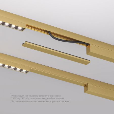 Заглушка Denkirs Shine Base TR5736-SB